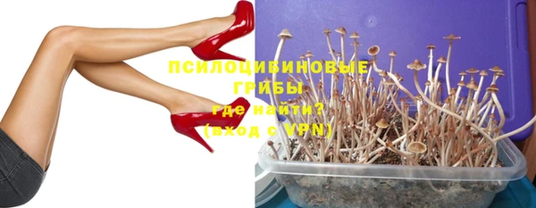 МДМА Белокуриха