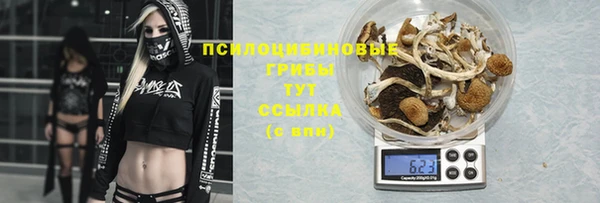 а пвп мука Беломорск