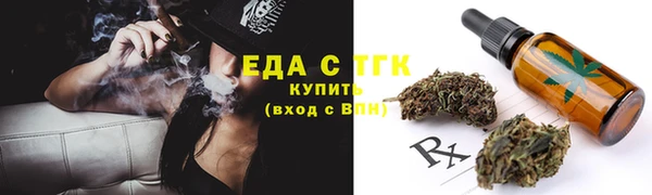 индика Михайлов