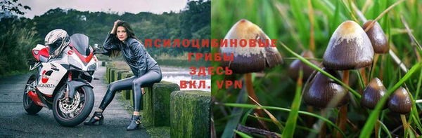МДМА Белокуриха